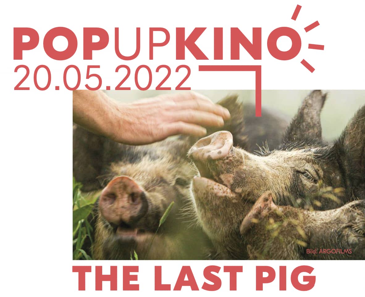 The Last Pig